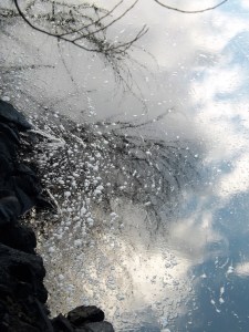 Por entre a beleza dos reflexos, escondem-se vestígios de destruição. 